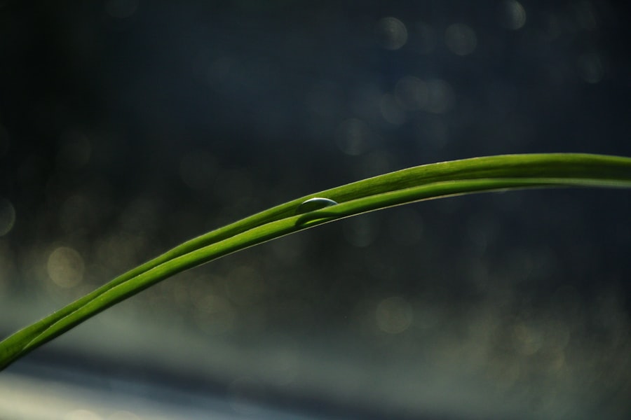 Photo ansoff growth matrix