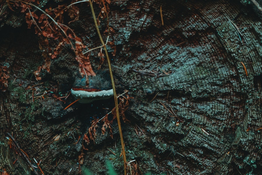 Photo organic growth