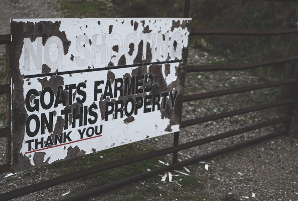 Photo real estate campaigns